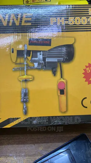 Electric Hoists 500kg