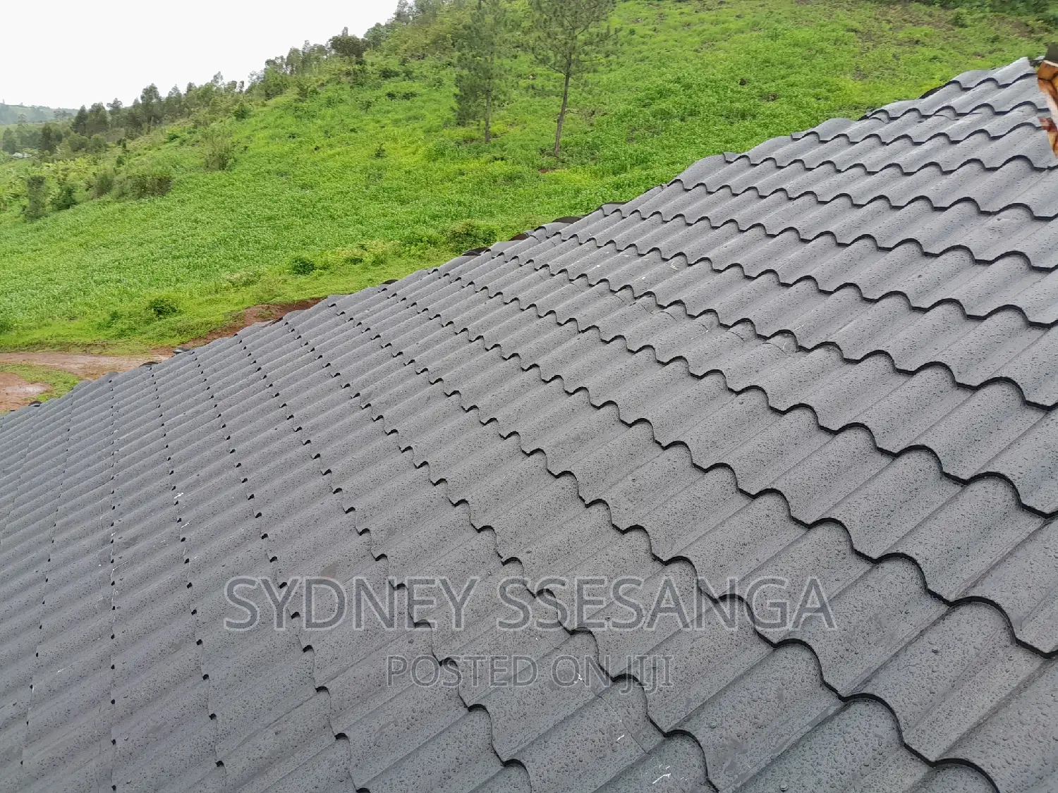 Roofing Services (Near You)