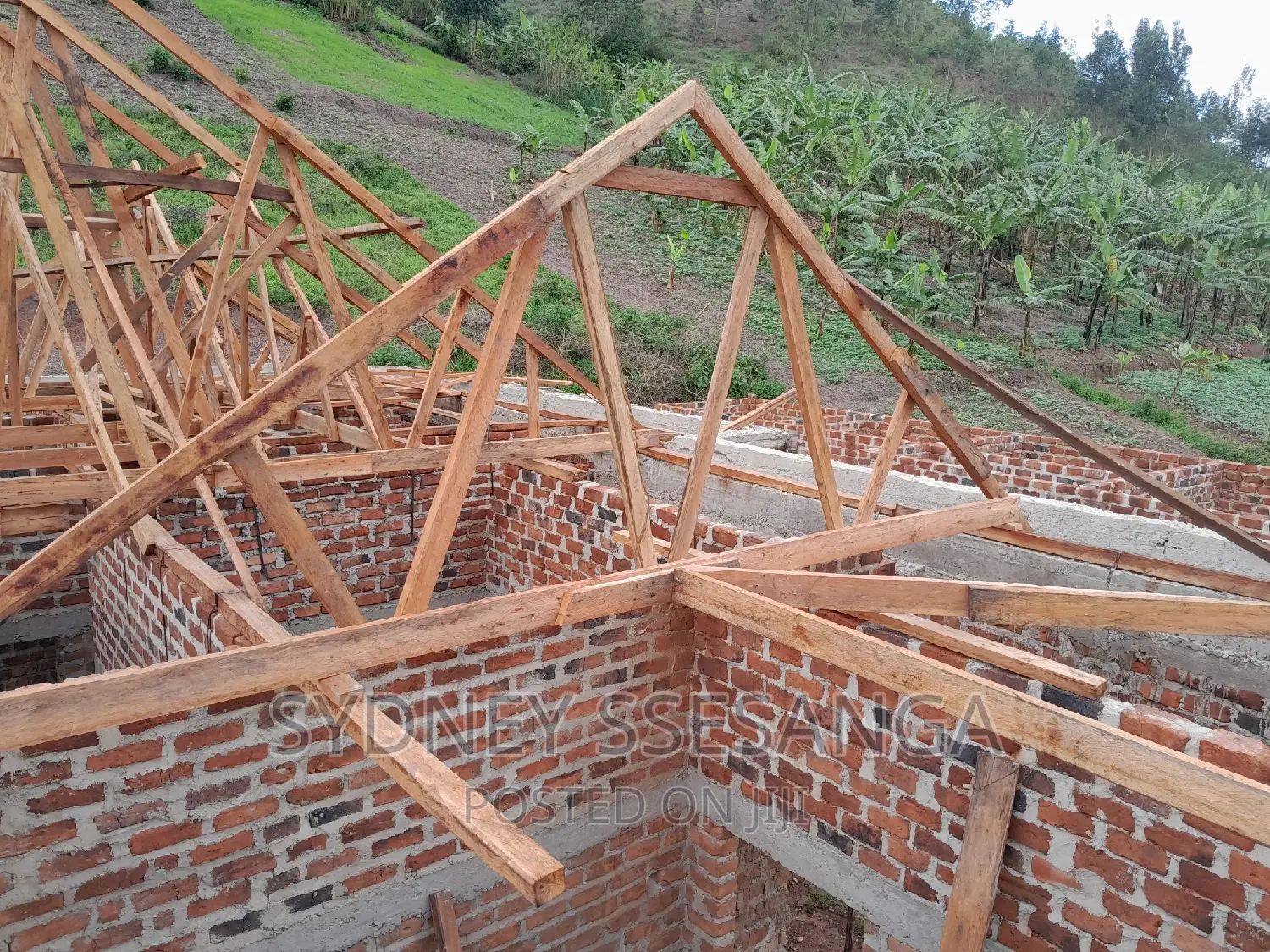 Roofing Services (Near You)
