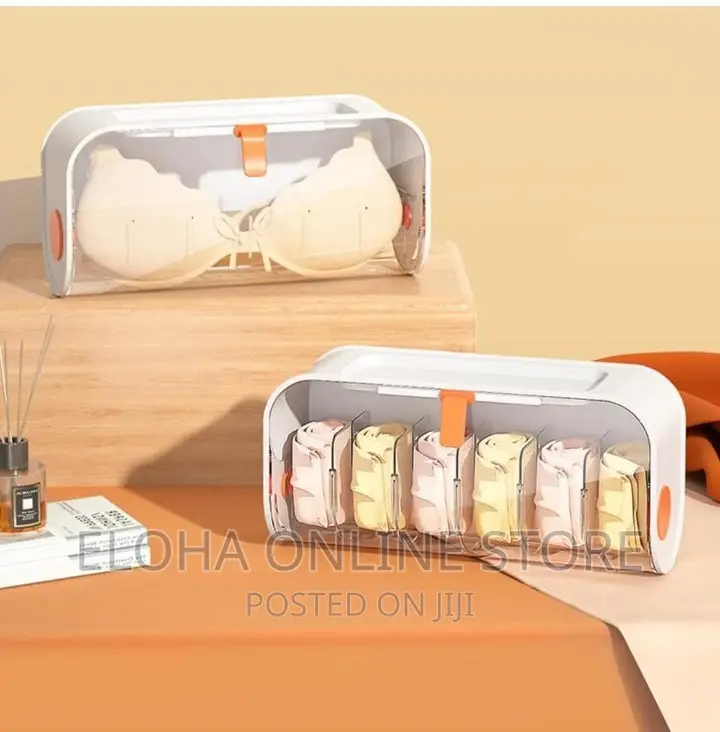 Wall Mounted Underwear Storage Box