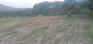 New Estate With Ready Private Mile Land Title Onsale Katende