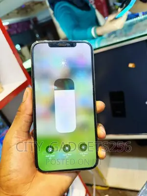 Photo - Apple iPhone 12 Pro Max 128 GB Gray