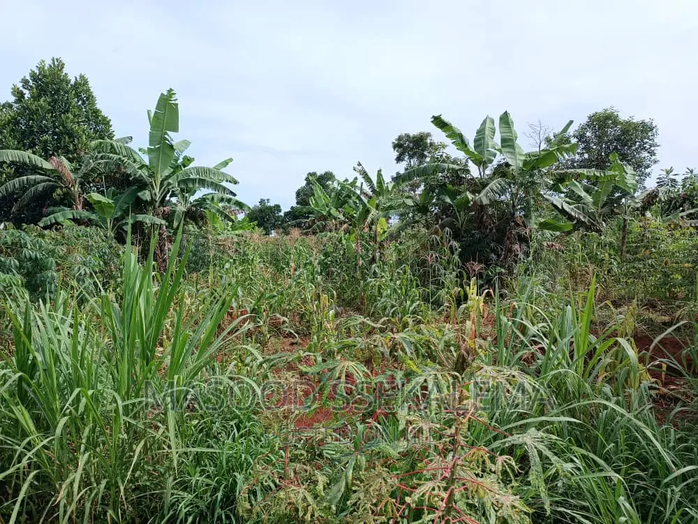 Land for Sale: 2 Acre Prime Plot at Namugongo Jjogo