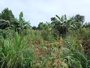 Land for Sale: 2 Acre Prime Plot at Namugongo Jjogo