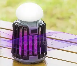 2 in 1 Mosquito Killer Lamp