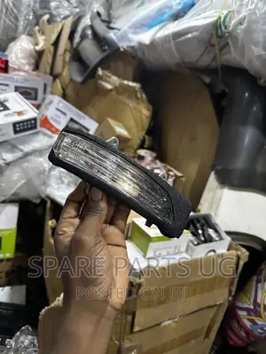 Side Mirror Indicators / Turn Signal Lamp