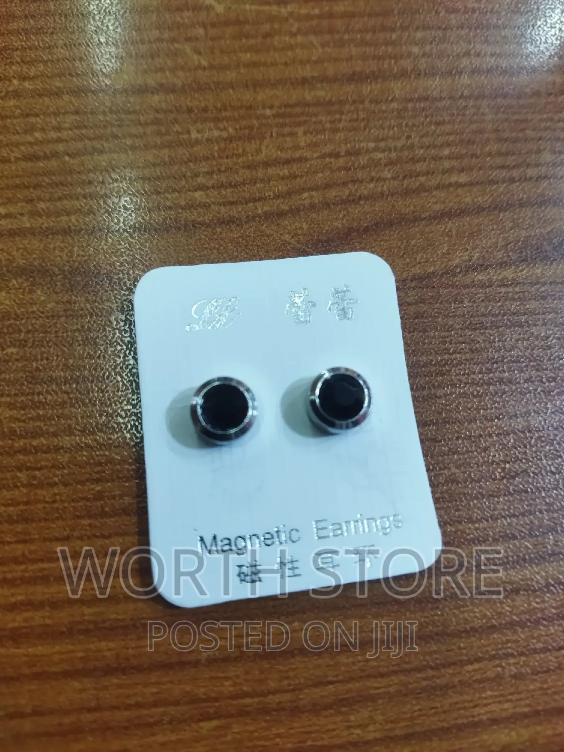 Magnetic Earrings