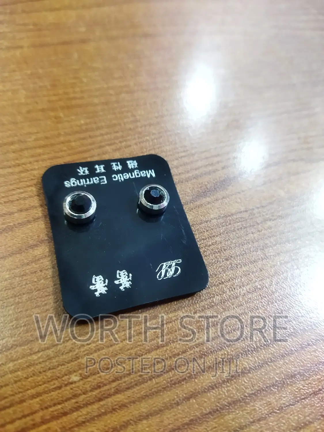 Magnetic Earrings