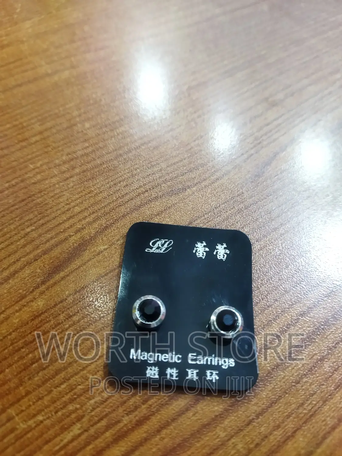 Magnetic Earrings