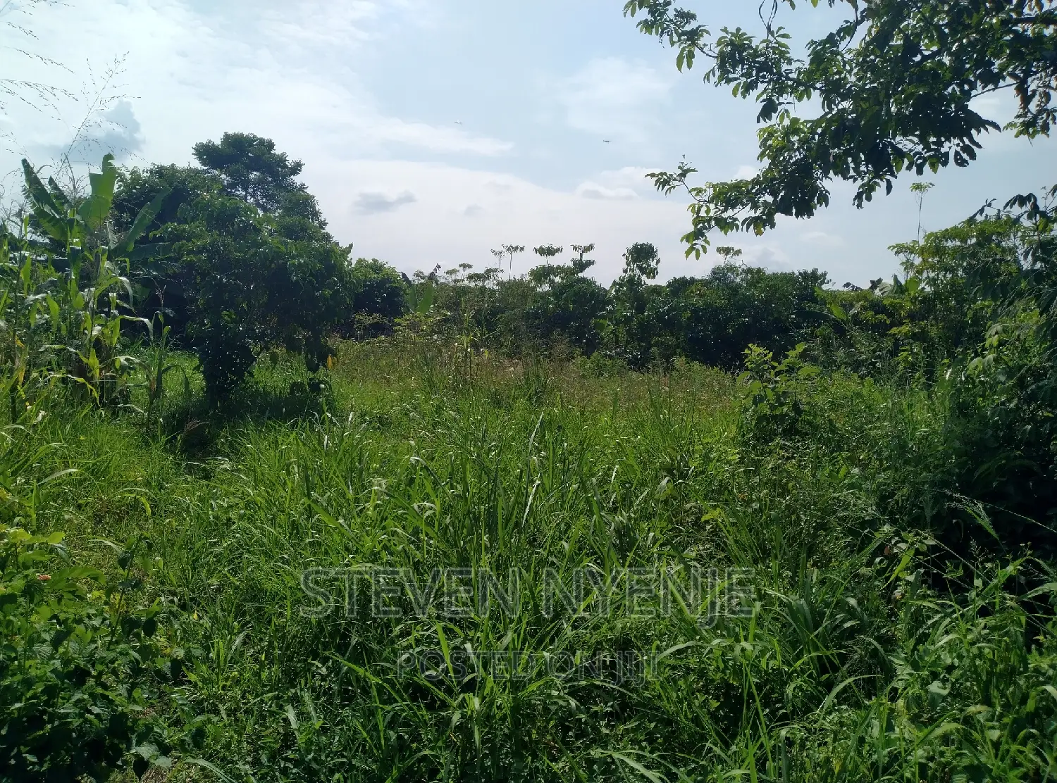 Luwero Acres for Sale