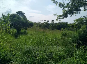 Luwero Acres for Sale