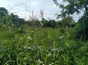 Luwero Acres for Sale