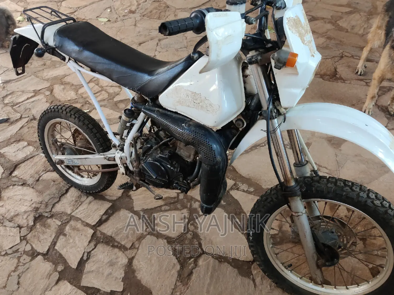 Honda 1998 White