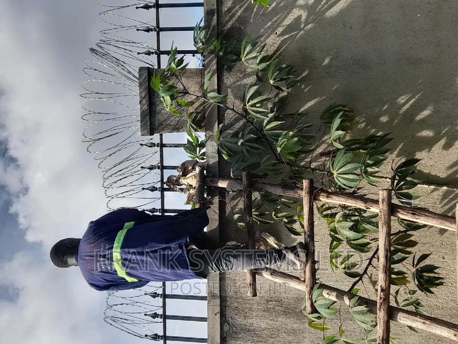 Razor Wire, Barbed Wire Fencing 450mm in Nakawa Building Materials