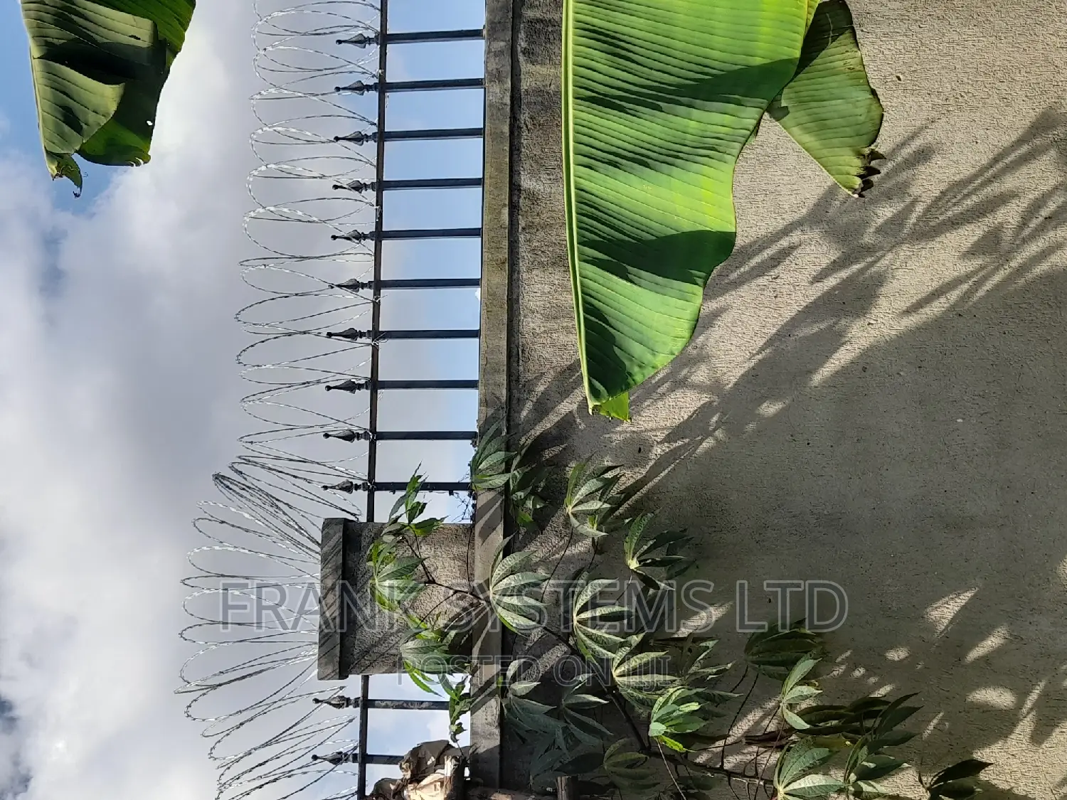 Razor Wire, Barbed Wire Fencing 450mm in Nakawa Building Materials