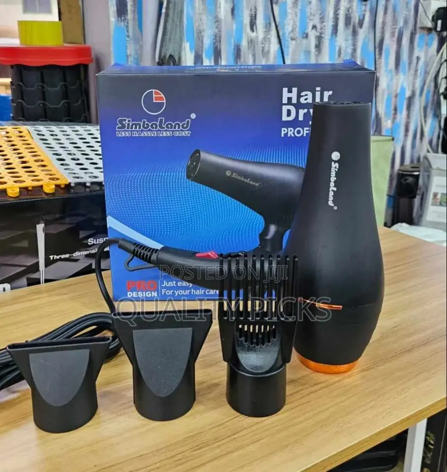 Electric Hair Dryer