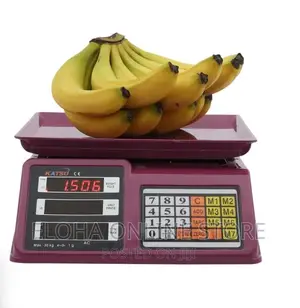 Digital Price Computing Scale With LED Display