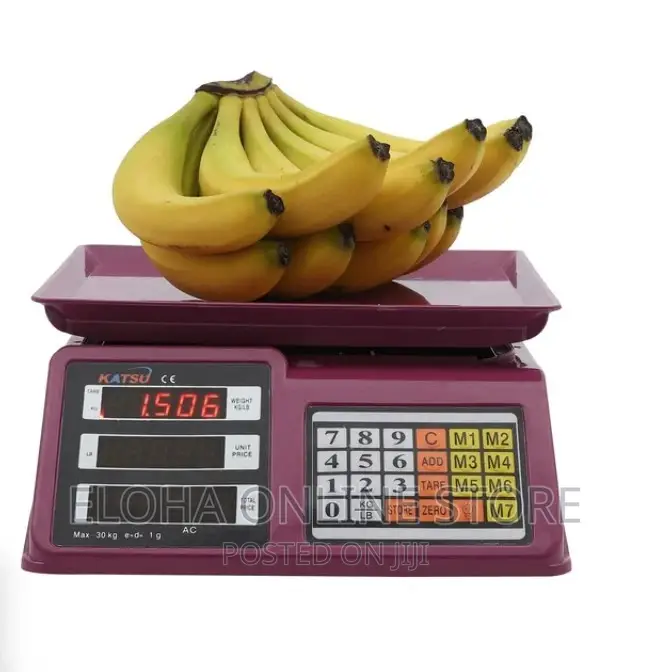 Digital Price Computing Scale With LED Display