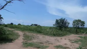 Kabalega International Airport
