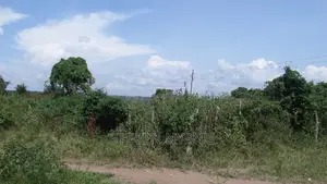 Kabalega International Airport