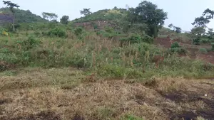Masindi Land for Sale