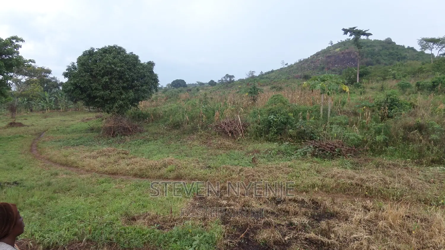 Masindi Land for Sale