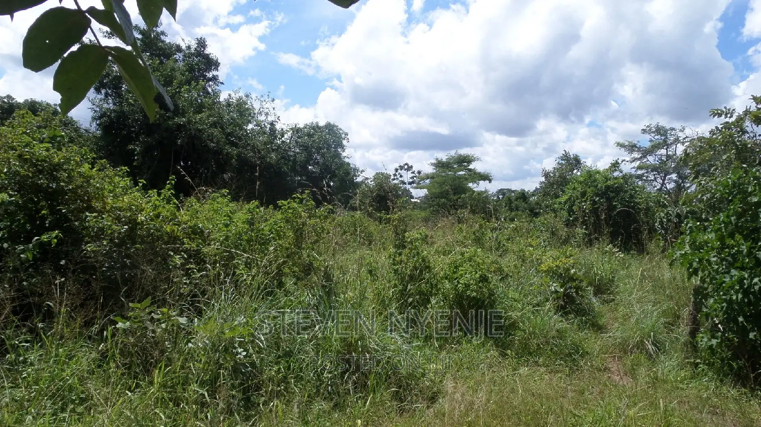 Masindi Land for Sale