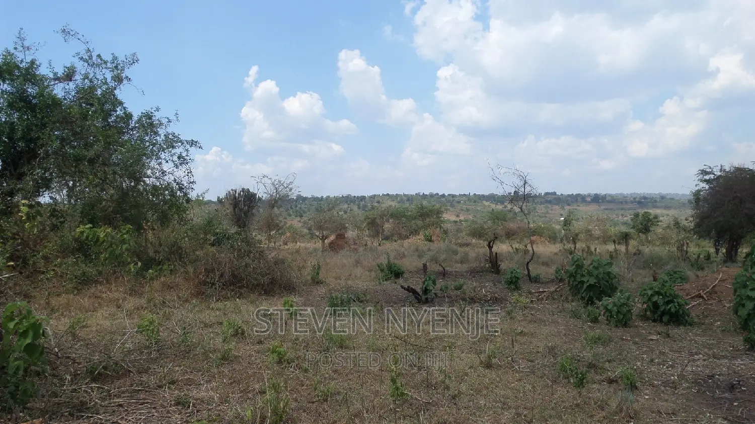 Masindi Land for Sale