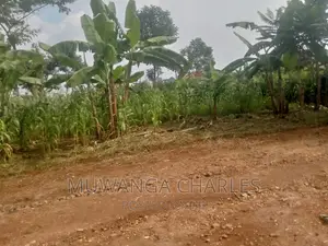 Plot's Available for Sale at Busukuma
