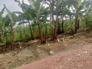 Plot's Available for Sale at Busukuma