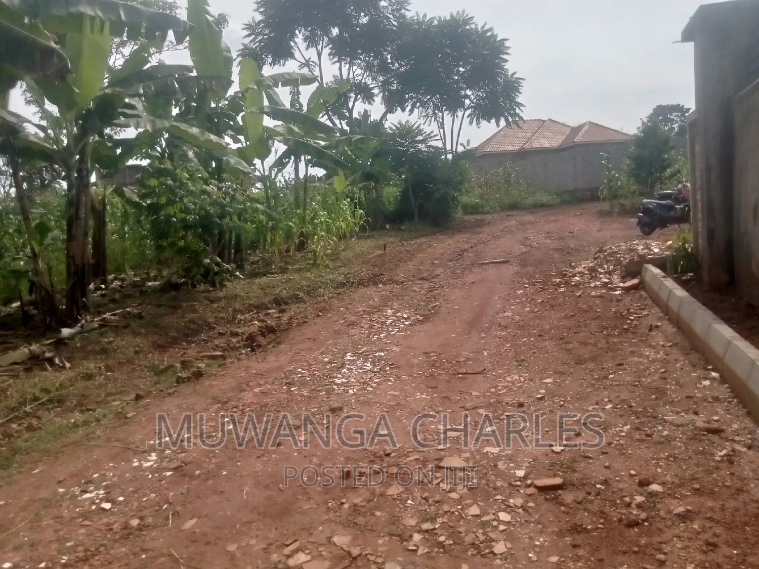 Plot's Available for Sale at Busukuma