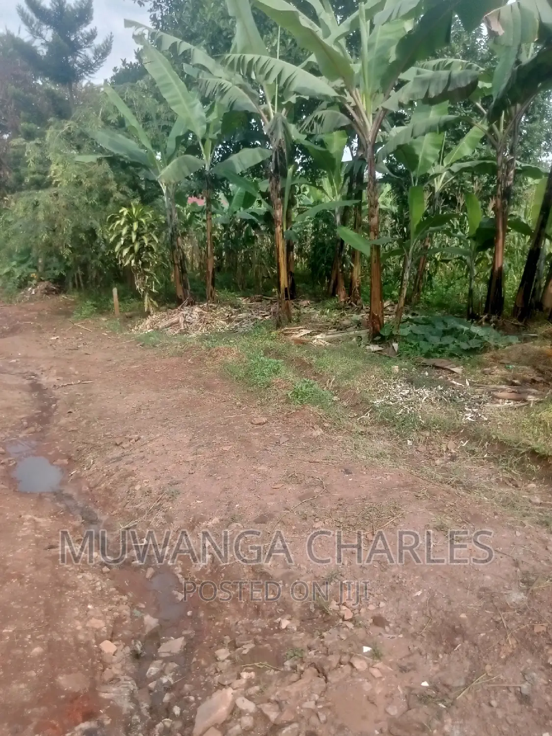 Plot's Available for Sale at Busukuma