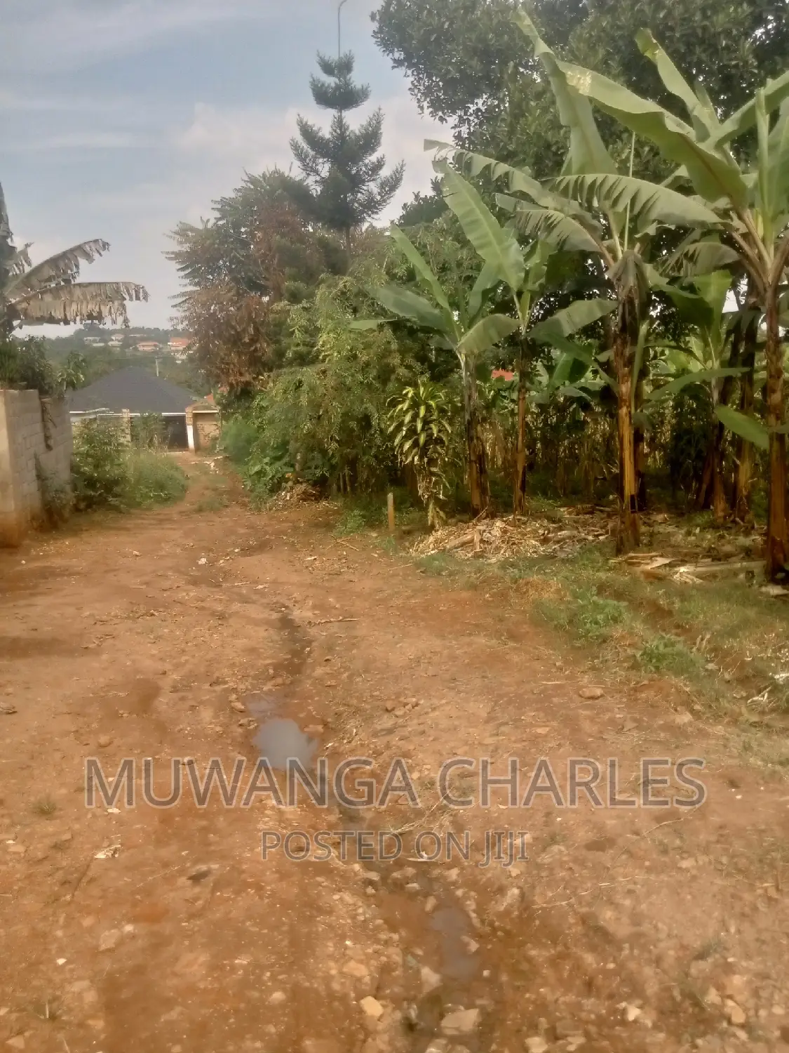 Plot's Available for Sale at Busukuma