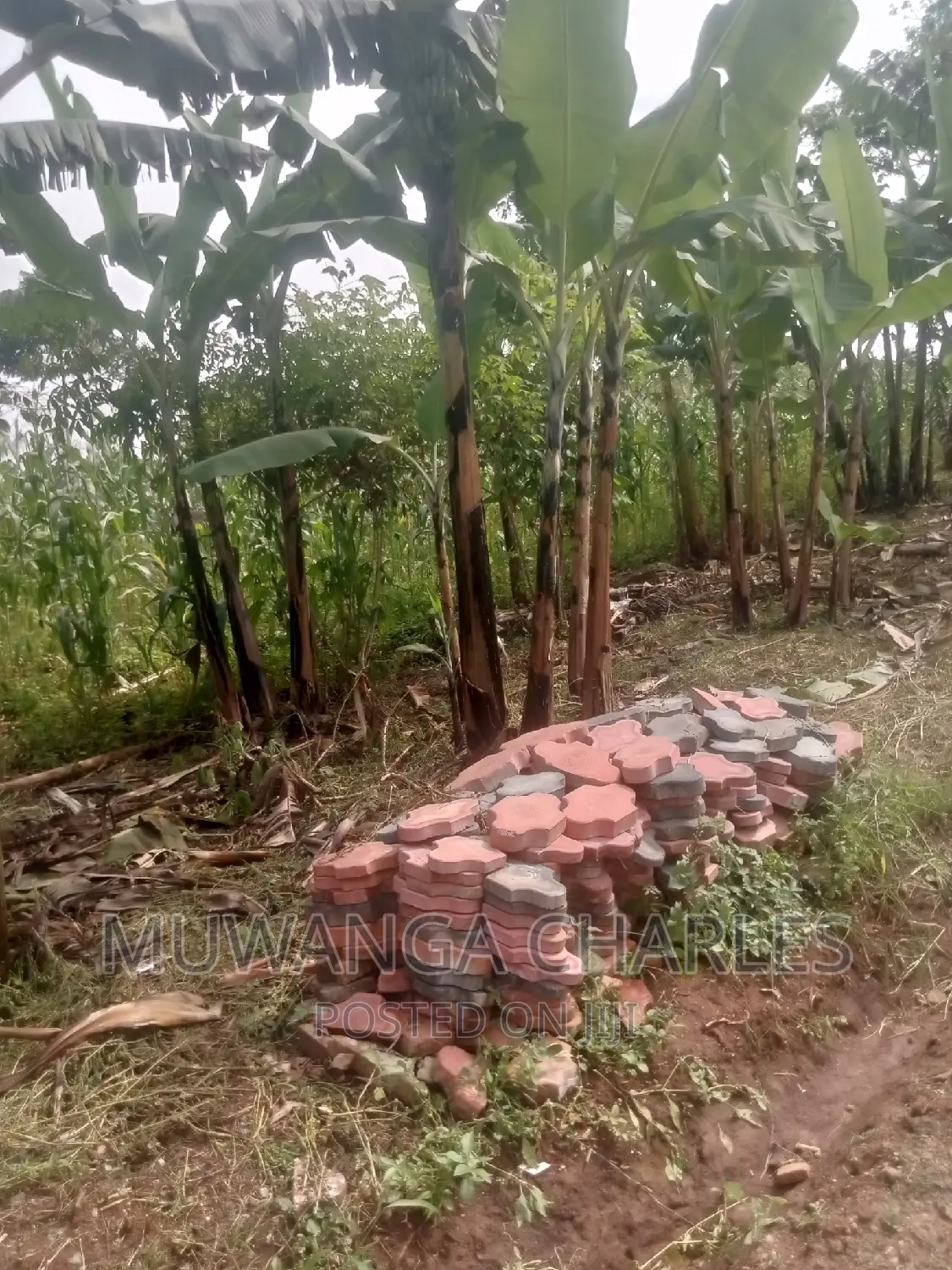 Plot's Available for Sale at Busukuma
