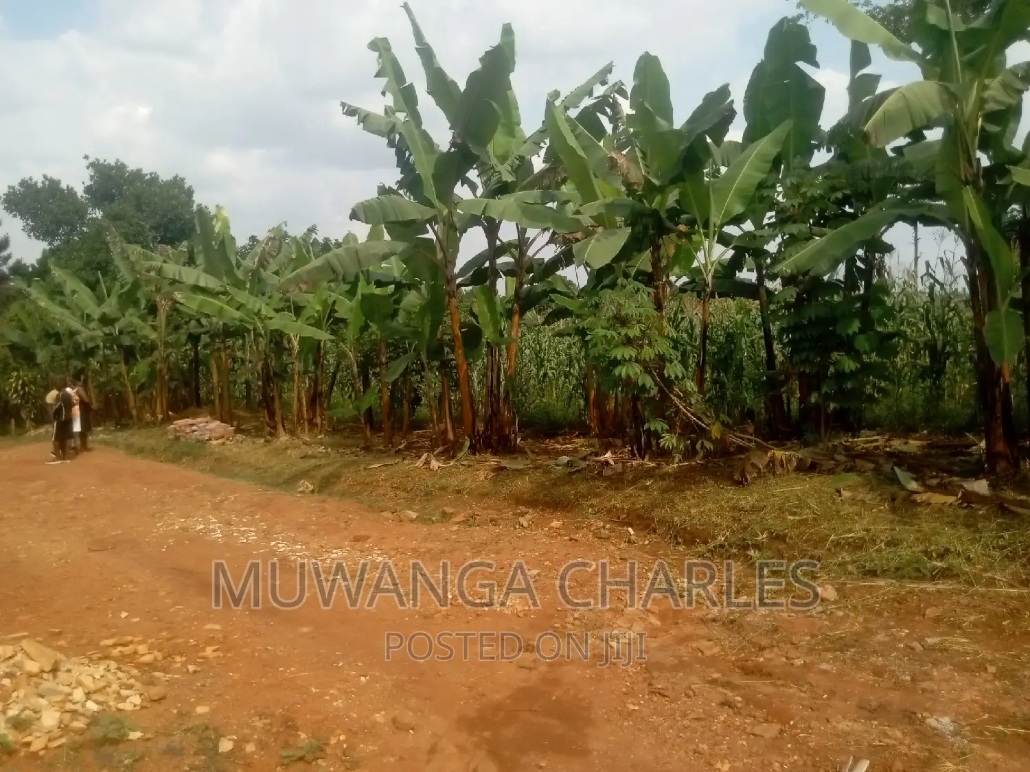 Plot's Available for Sale at Busukuma