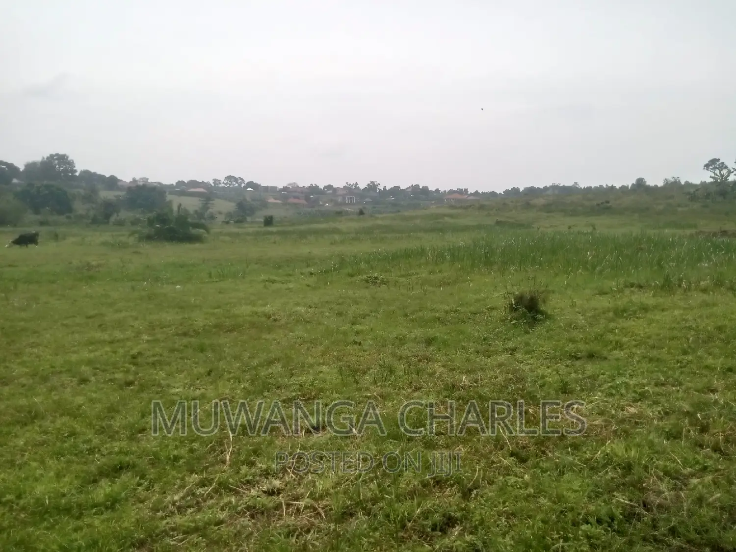 Plot's Available for Sale at Kasangati