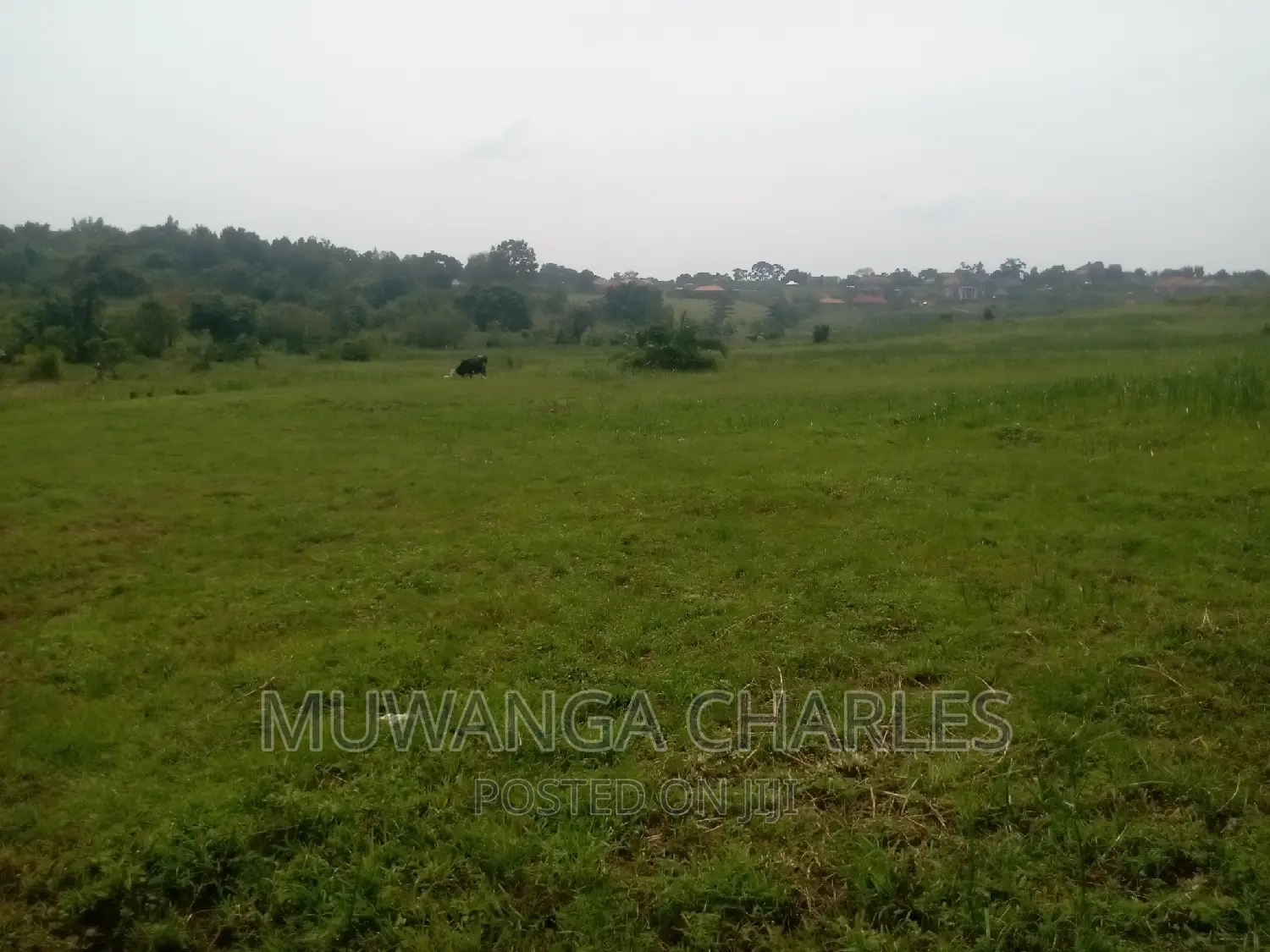 Plot's Available for Sale at Kasangati