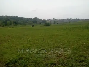 Plot's Available for Sale at Kasangati
