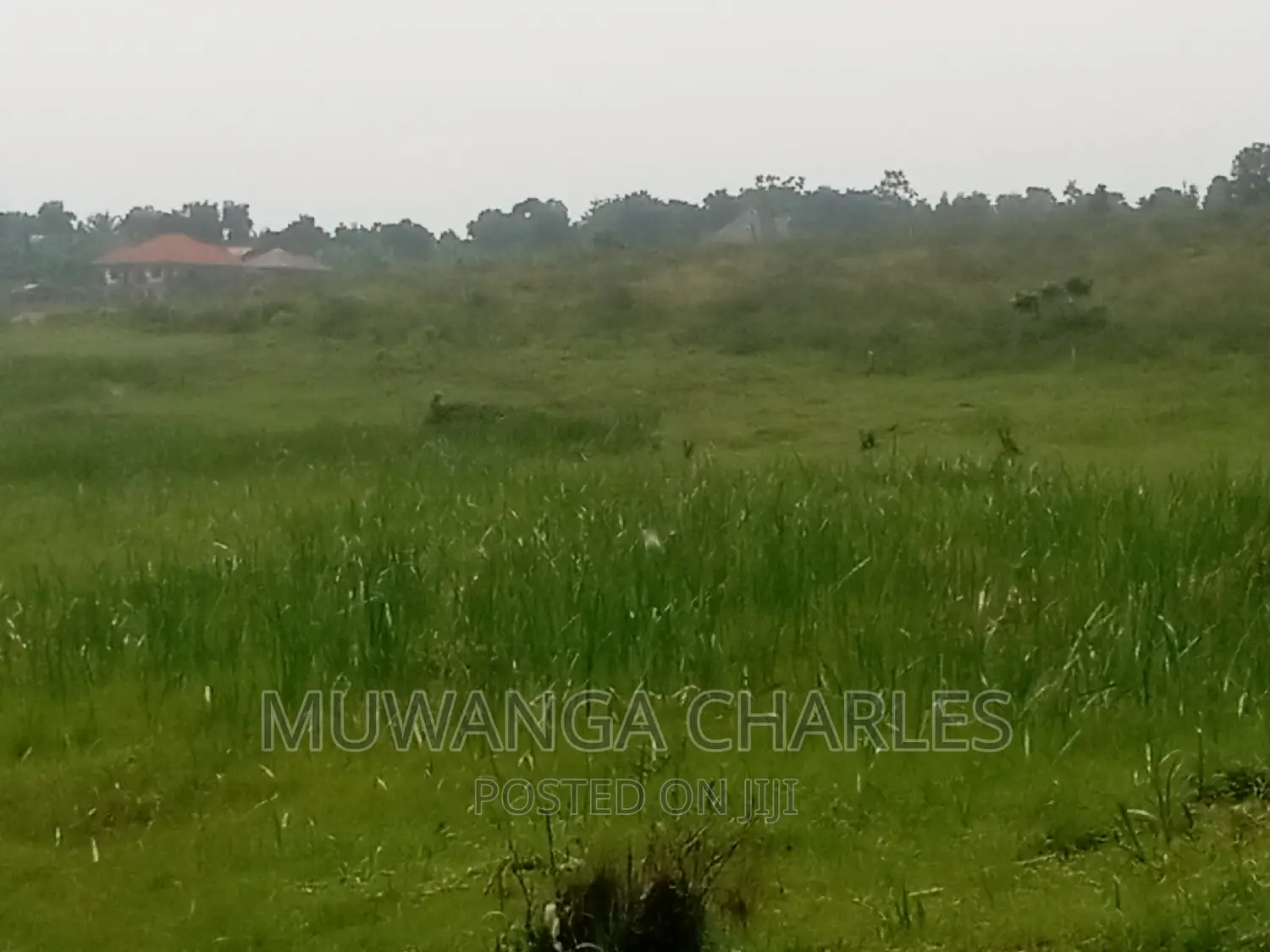 100by50ft Plot of Land for Sale Kasangati Mawule