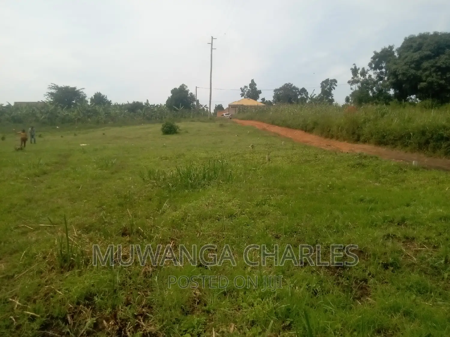 100by50ft Plot of Land for Sale Kasangati Mawule