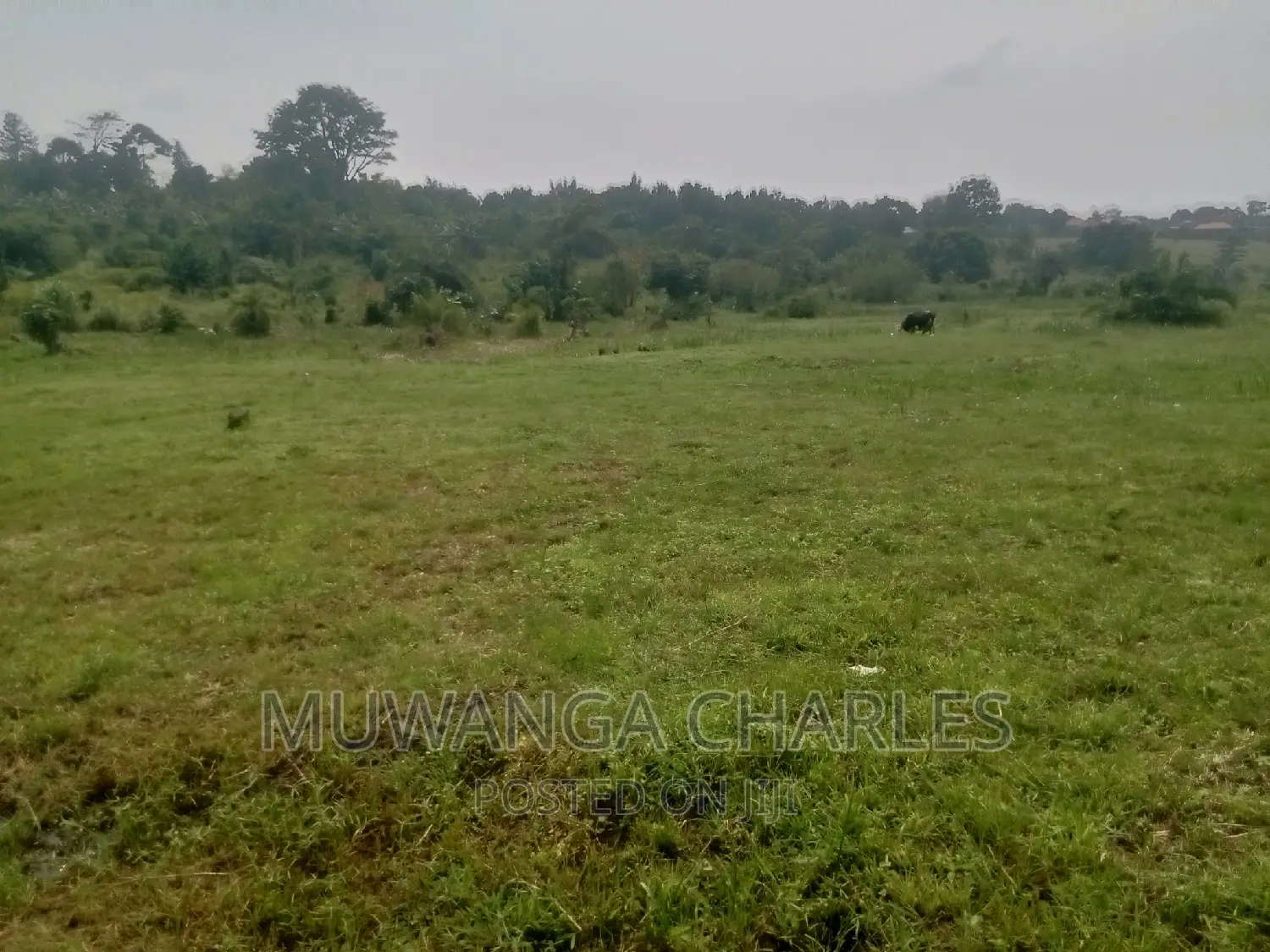 100by50ft Plot of Land for Sale Kasangati Mawule