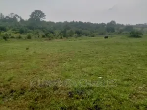 100by50ft Plot of Land for Sale Kasangati Mawule