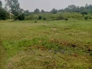 100by50ft Plot of Land for Sale Kasangati Mawule