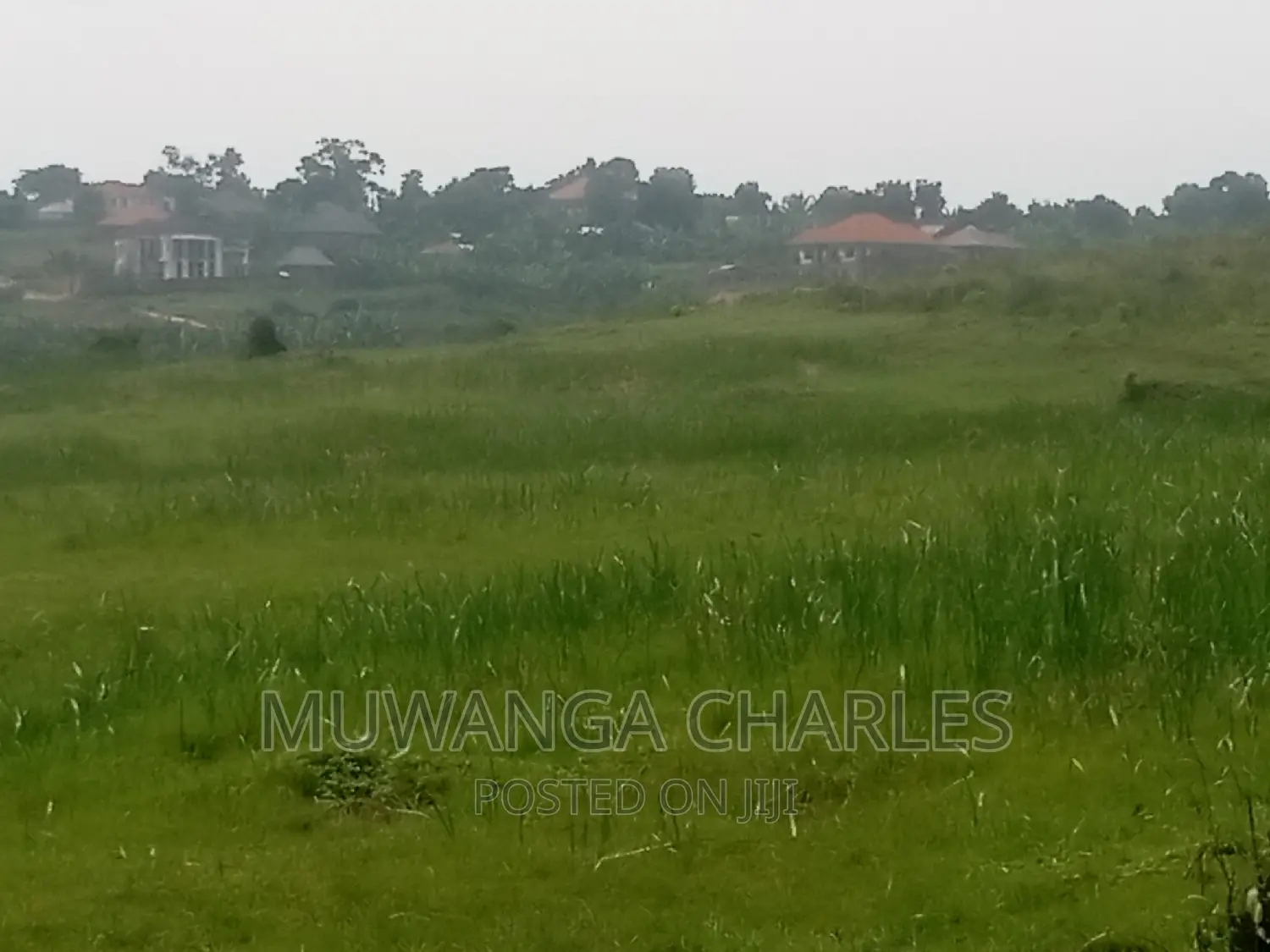 100by50ft Plot of Land for Sale Kasangati Mawule