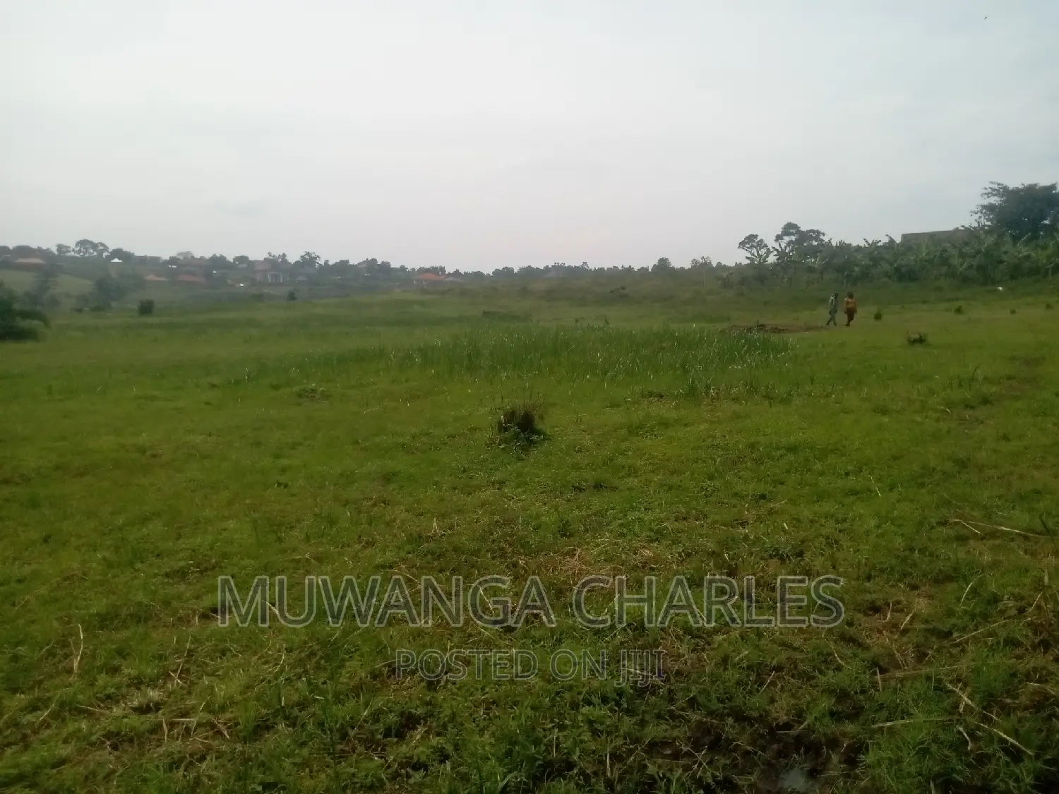 100by50ft Plot of Land for Sale Kasangati Mawule