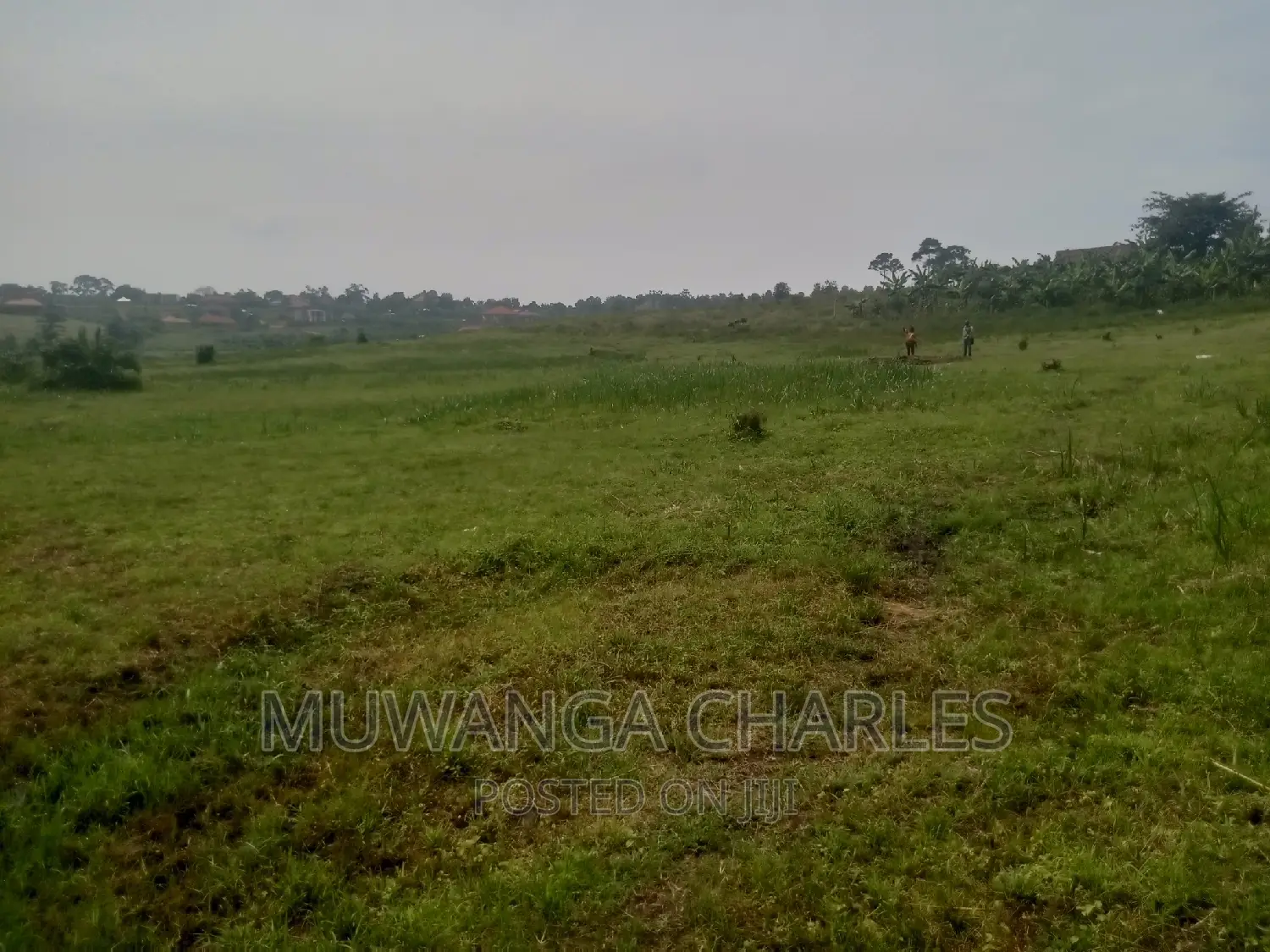 100by50ft Plot of Land for Sale Kasangati Mawule