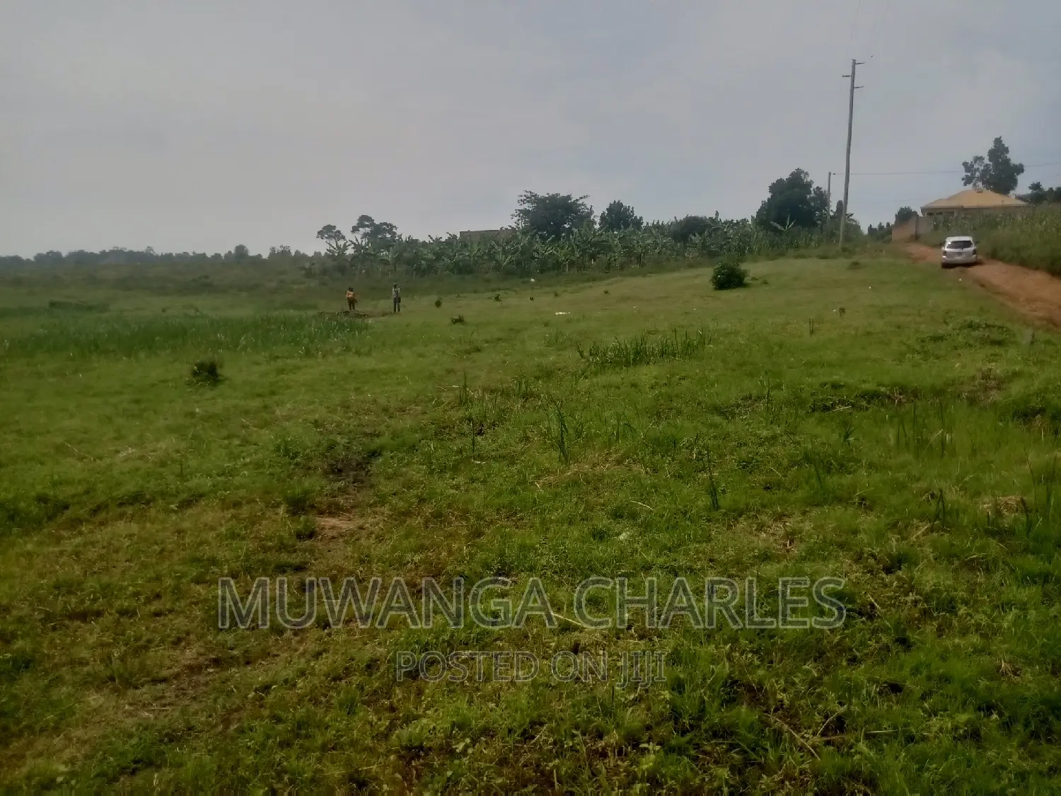 100by50ft Plot of Land for Sale Kasangati Mawule