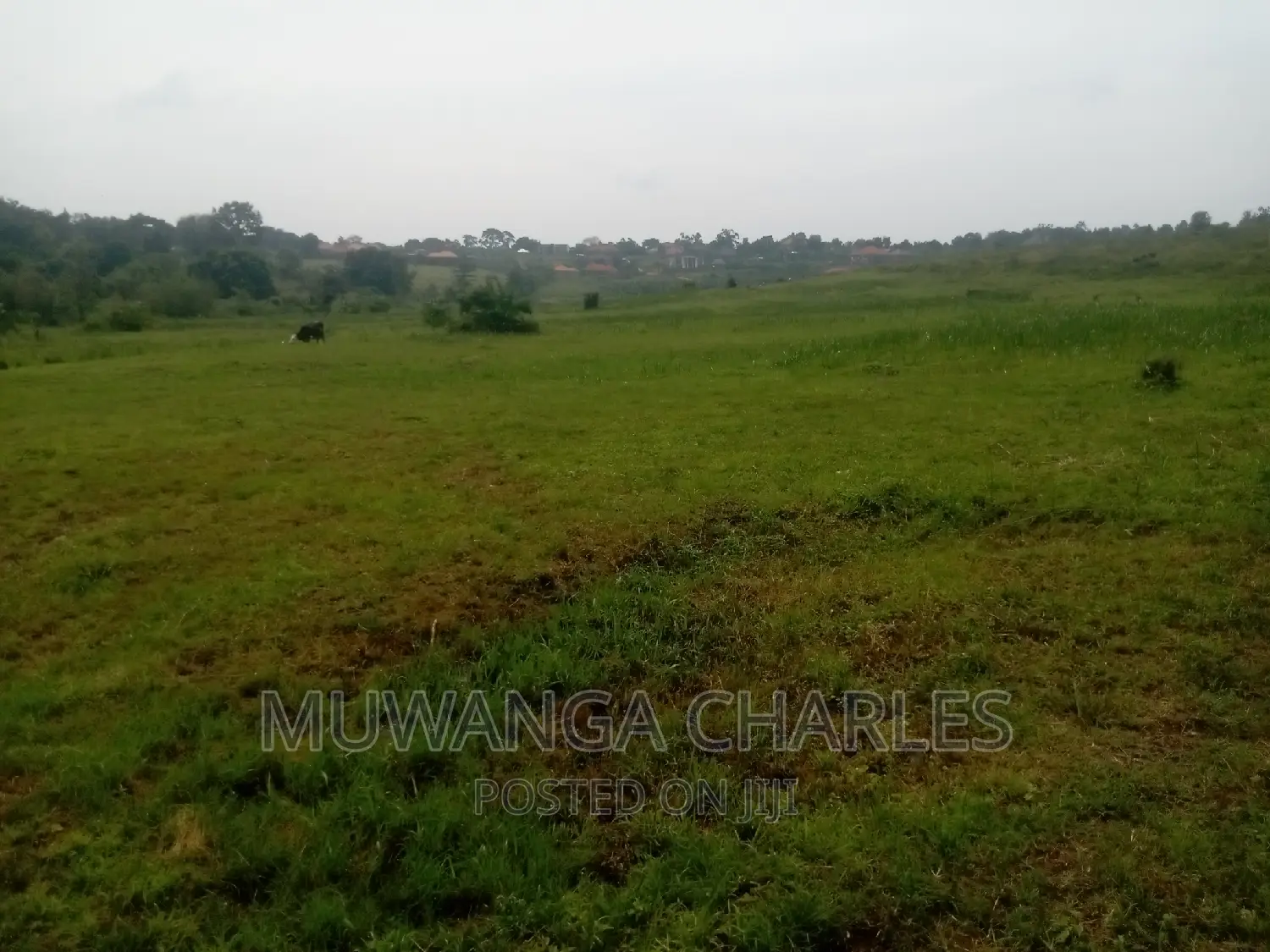 100by50ft Plot of Land for Sale Kasangati Mawule