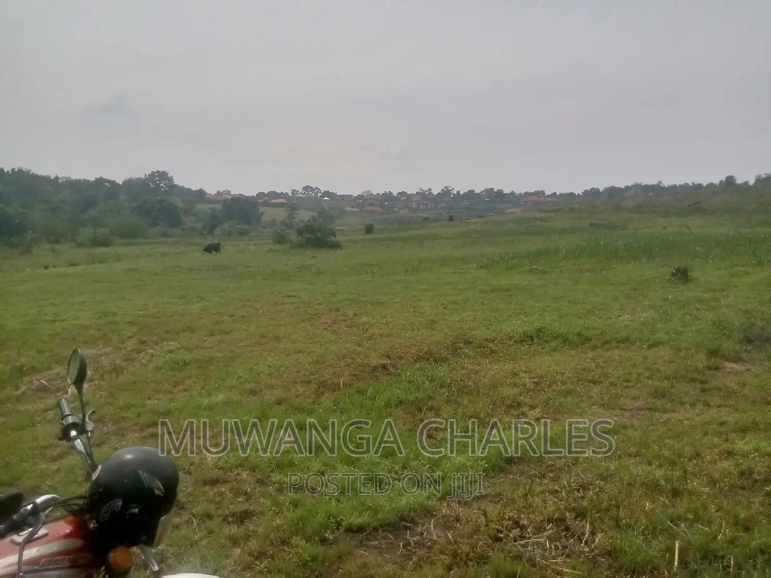 100by50ft Plot of Land for Sale Kasangati Mawule