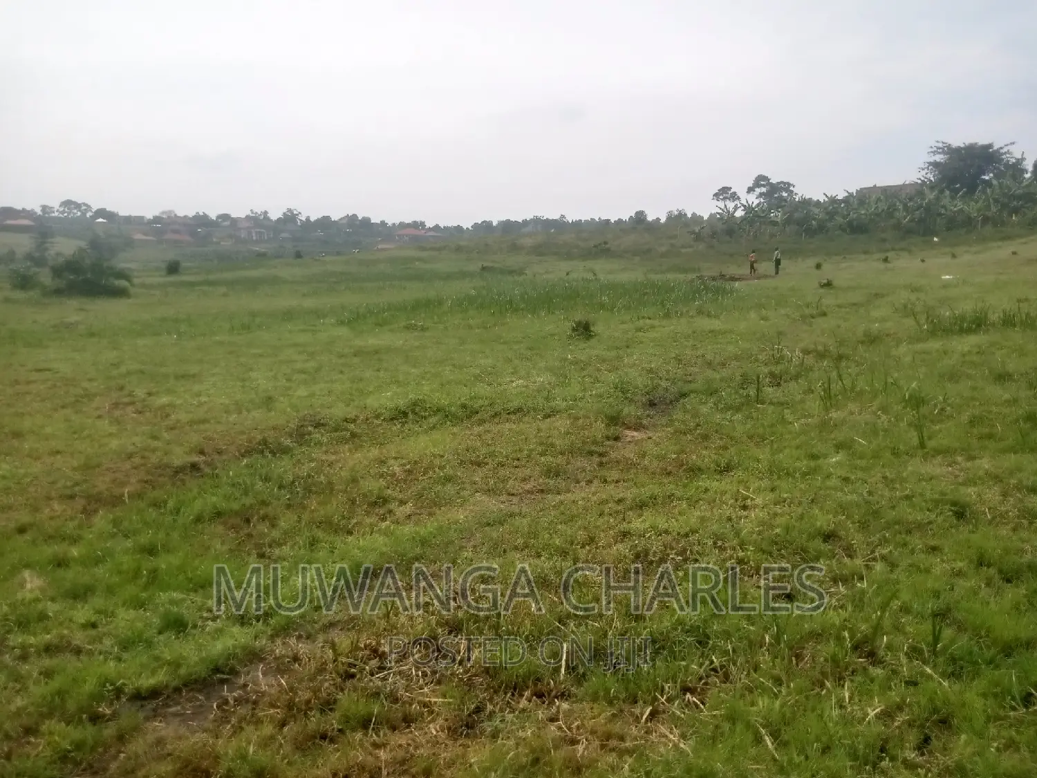 100by50ft Plot of Land for Sale Kasangati Mawule